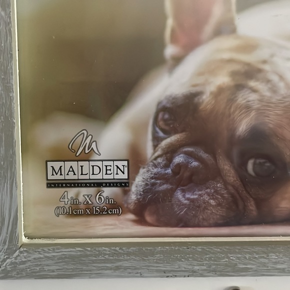 NWT 🐾 You Had Me At Woof 🐾 4x6 photo frame (4 available) - Picture 2 of 3